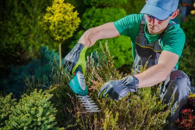 landscaping services Choctaw Lake